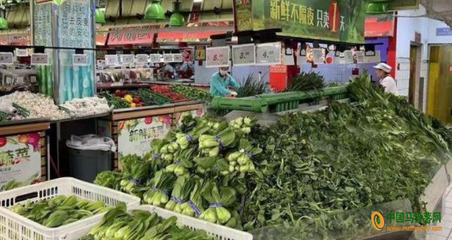 江蘇蔬菜價格小幅上揚，新鮮蔬菜零售市場動態分析